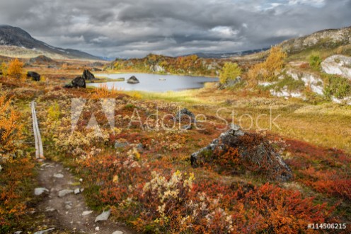 Picture of Wildes Lappland - Nordschweden